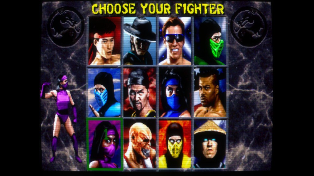 Fighter selection screen