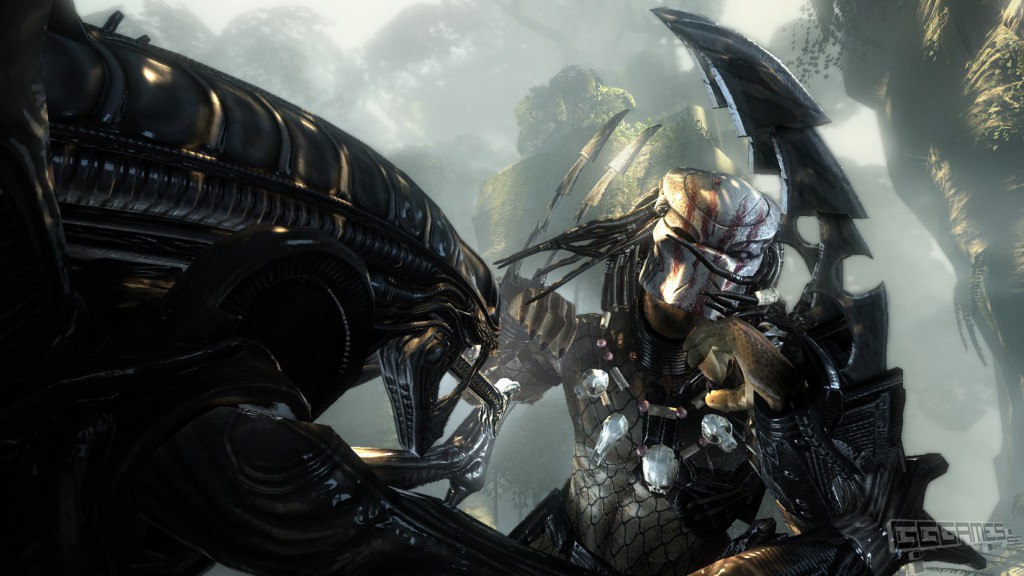 Melee combat between alien and predator